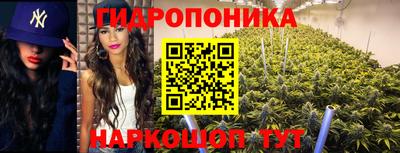 ГАЛЛЮЦИНОГЕННЫЕ ГРИБЫ Кунгур