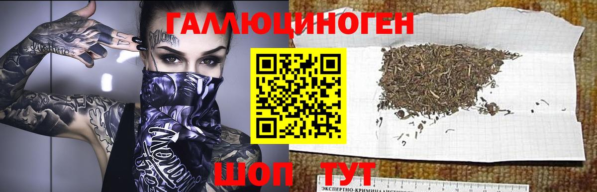 Каменск-Уральский  где купить   Вход с VPN  Псилоцибиновые грибы Cubensis 